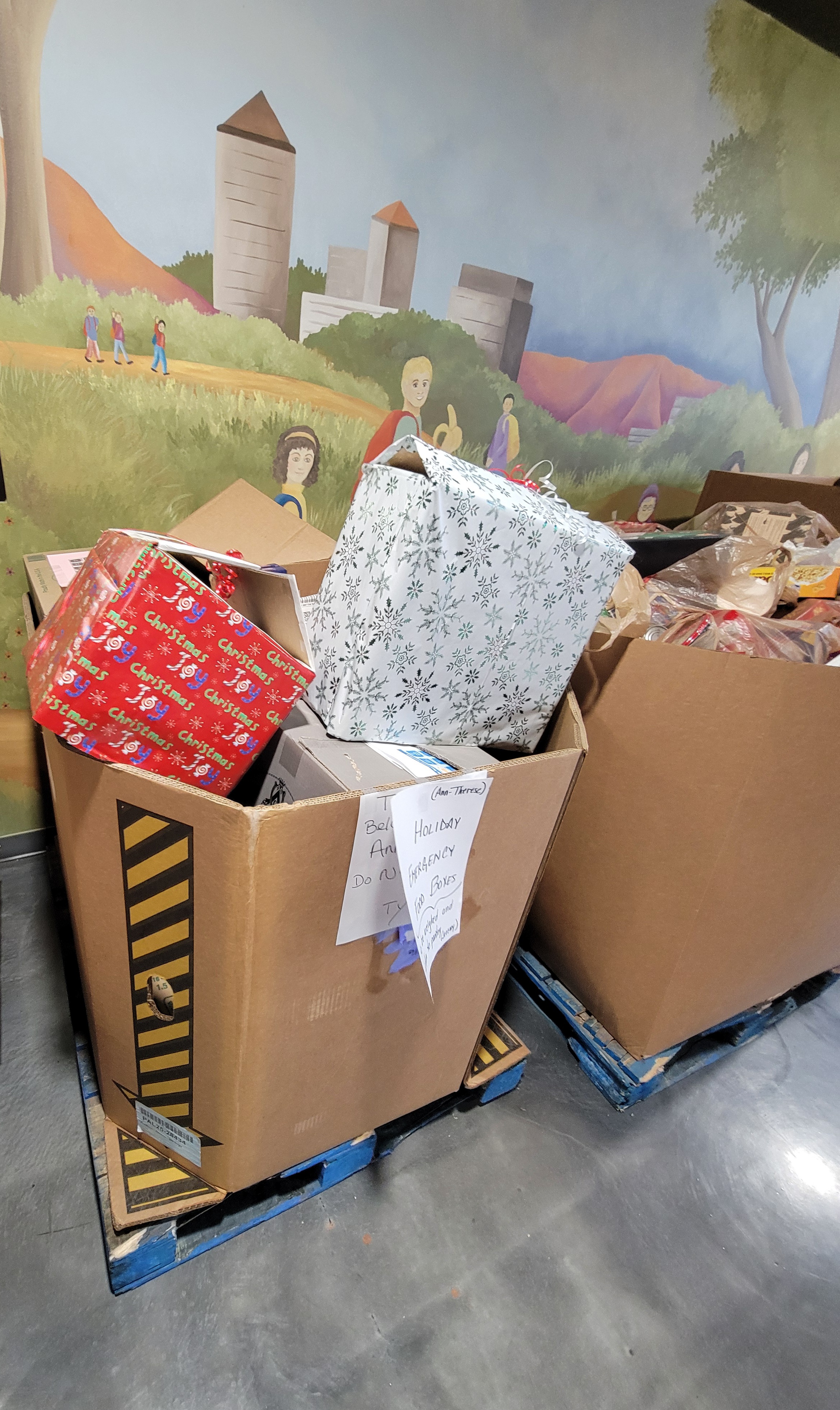 Pallet of emergency food boxes in a cardboard container with a sign that says holiday emergency boxes next to cardboard container of food.